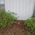 Residential Pressure Washing For Savannah