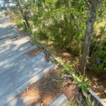 Sidewalk Washing Pros in Savannah, GA | Men of Faith