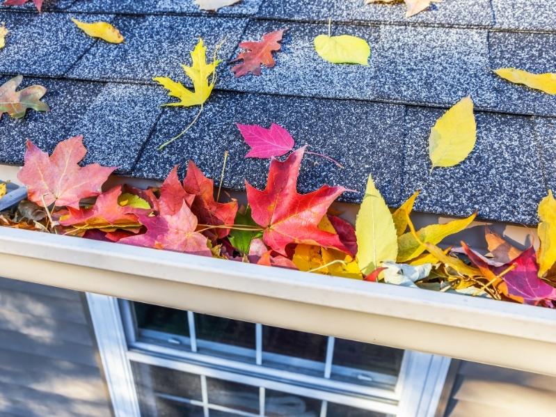 Fall Home Exterior Cleaning Savannah